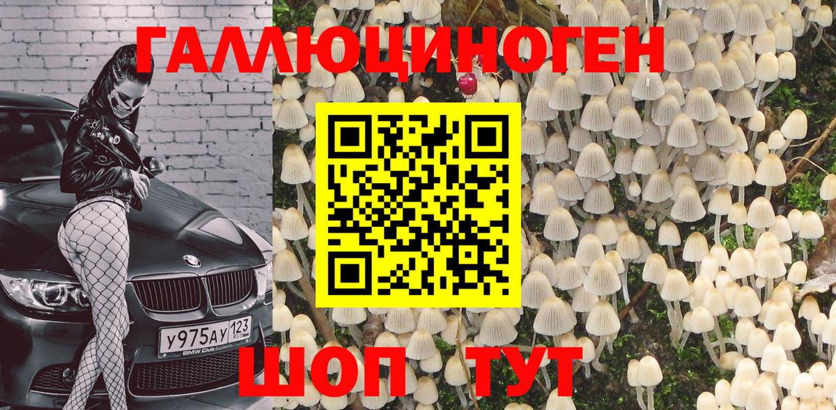 Усть-Джегута  купить наркоту  Вход с VPN  Псилоцибиновые грибы ЛСД 